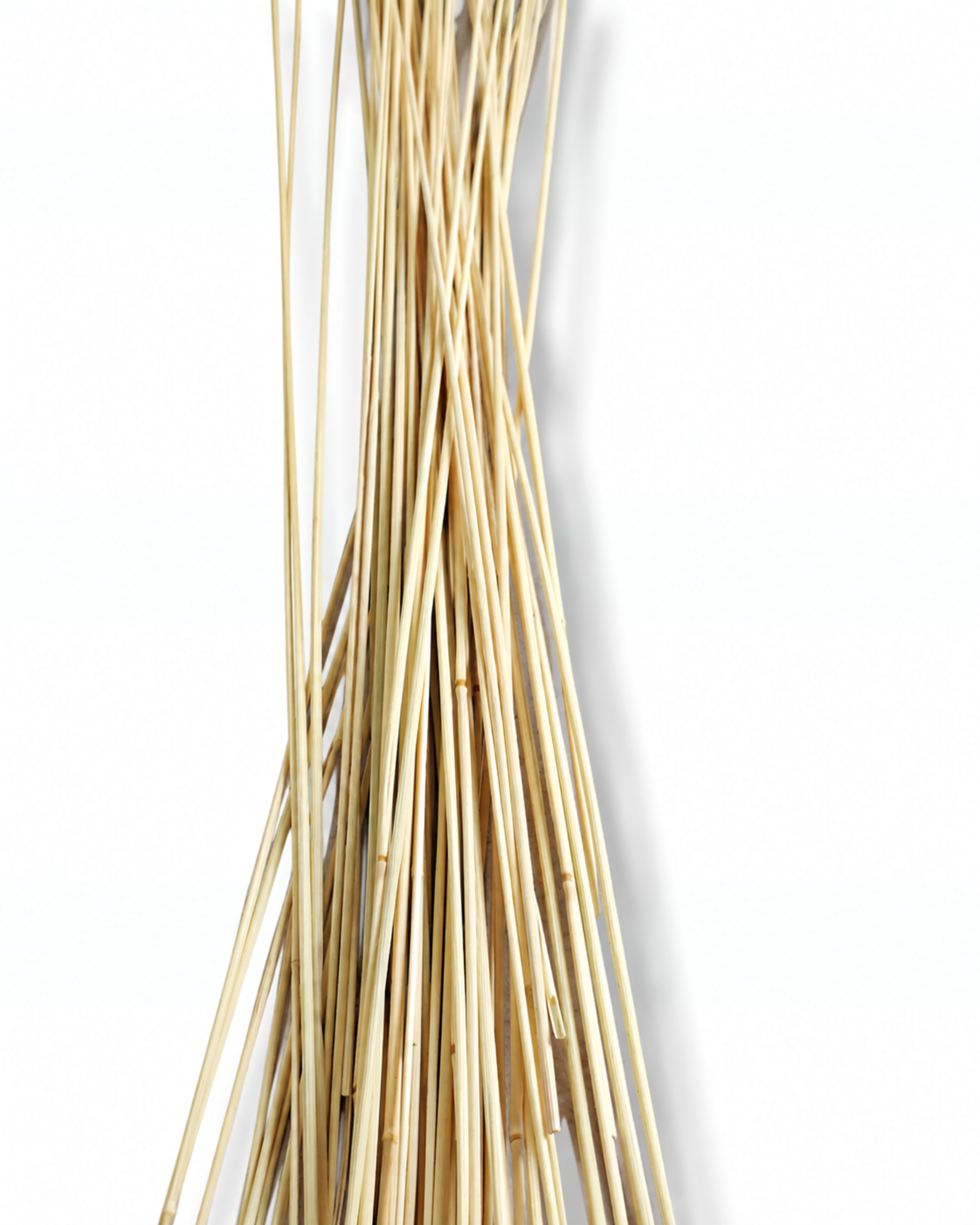 Dried Dusty Blue Calamagrostis Stems - Smoky Grey Blend