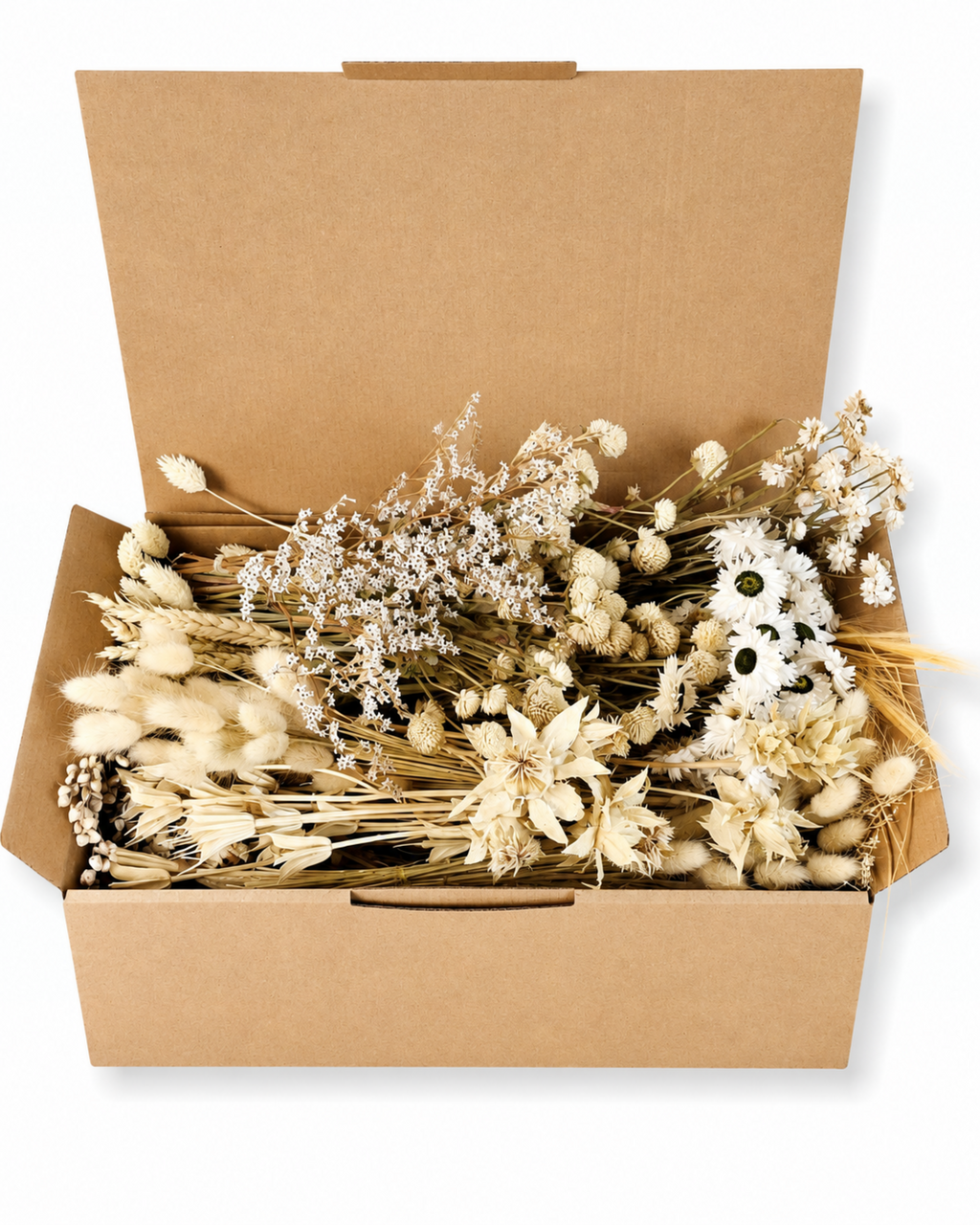 Natural Dried Flower Box for Crafts
