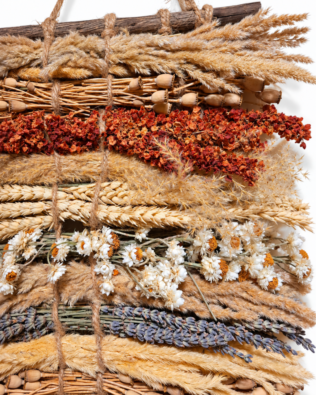 Close-up of dried flowers wall hanging showcasing terracotta blooms, white marcela, and lavender.
