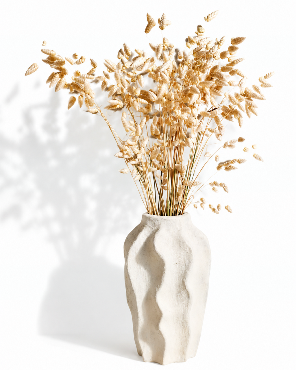Wheat Color Briza Grass