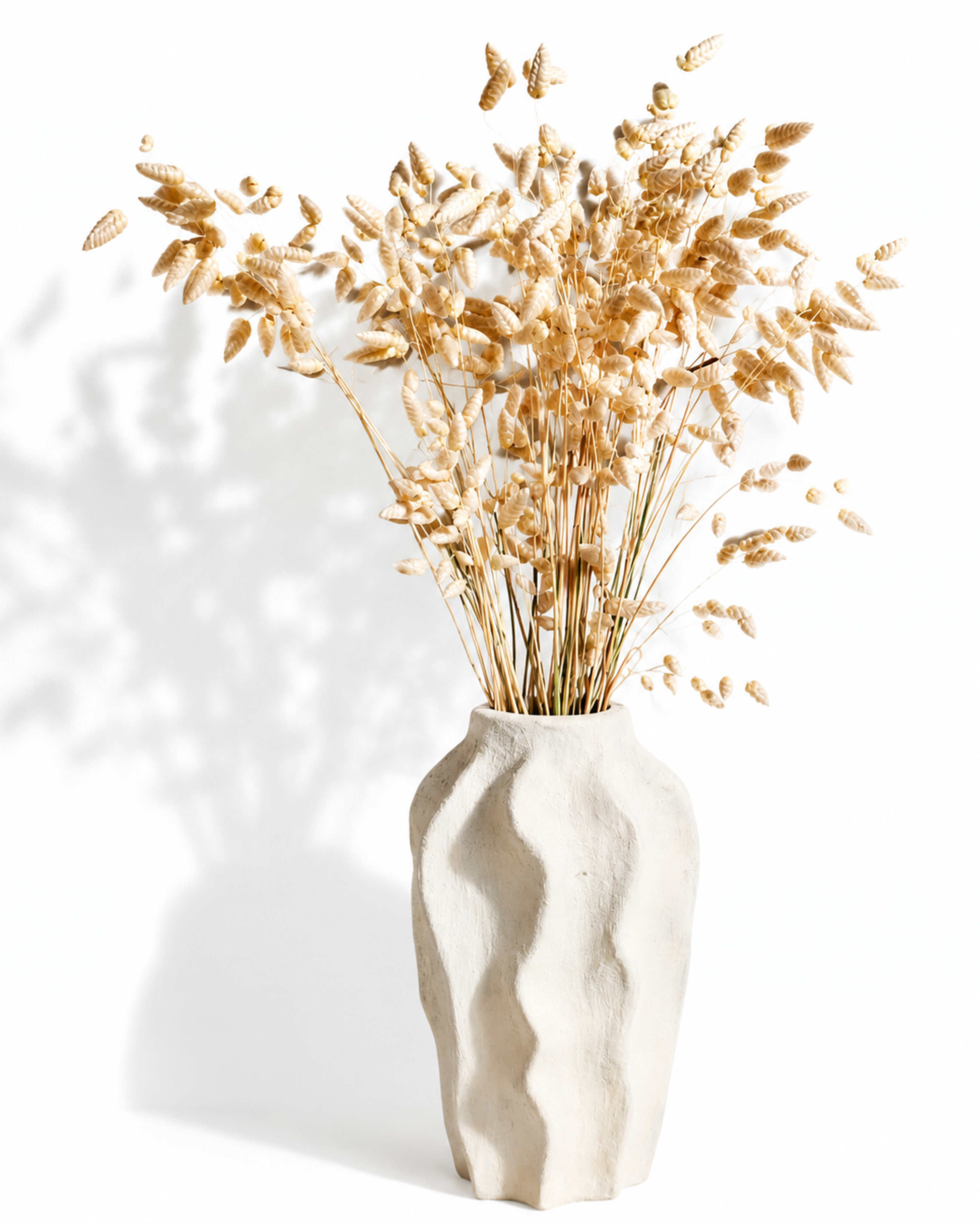 Wheat Color Briza Grass