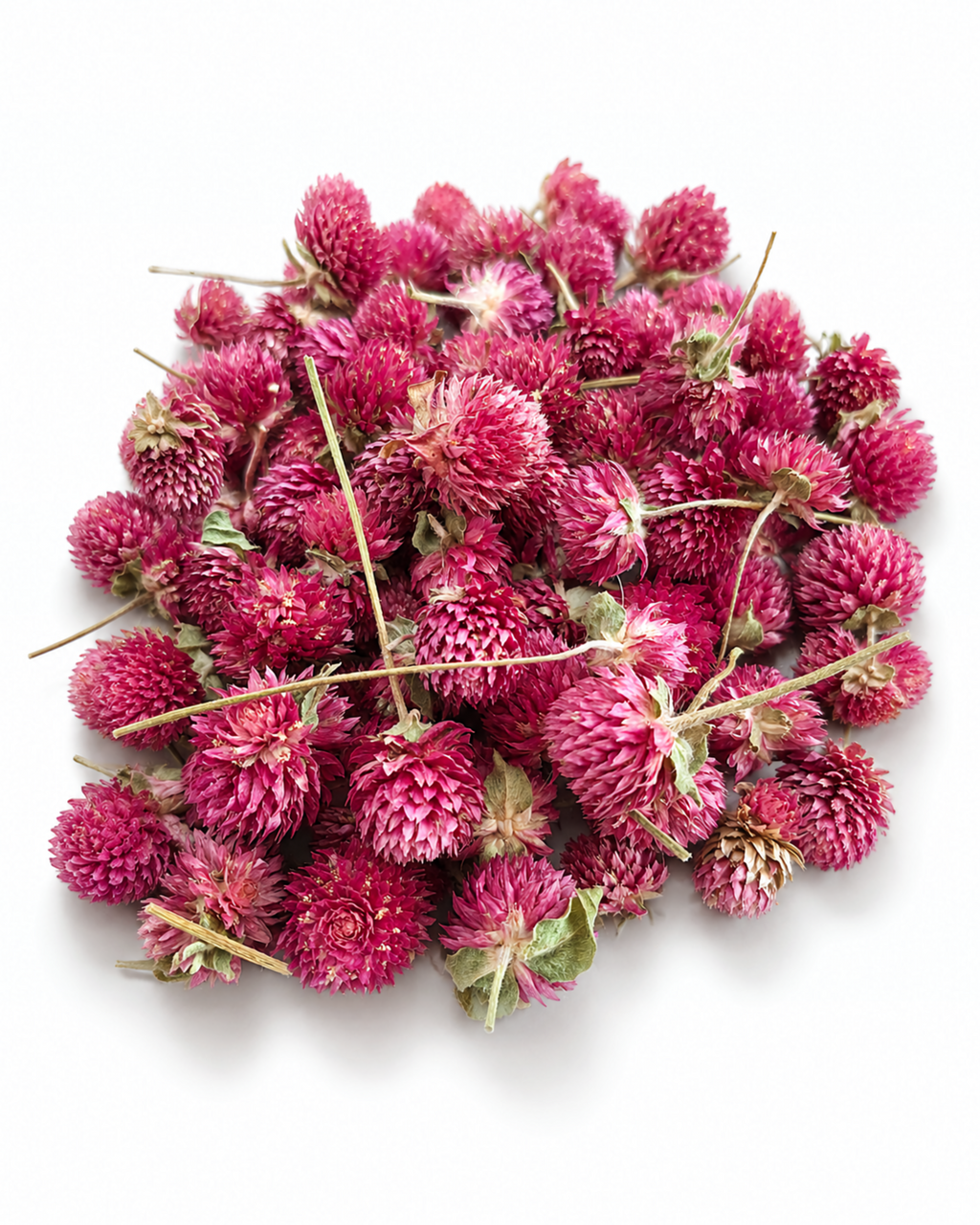 Scattered set of 50 bright pink dried Gomphrena flower heads on a white surface.
