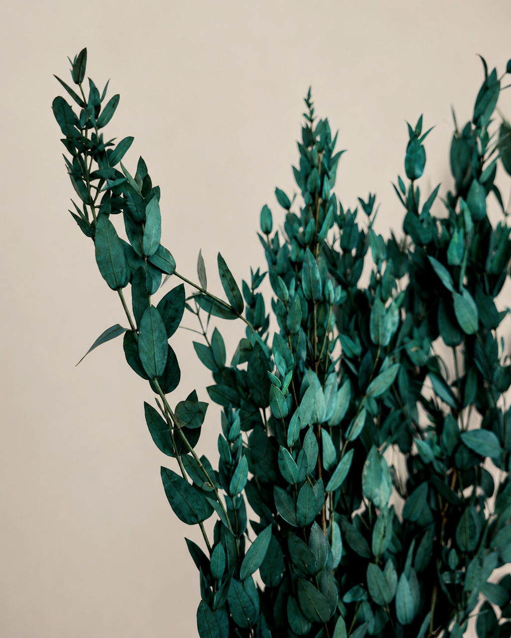 Preserved Greenery Bundle