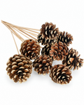Top angle view of natural brown pine cones with gold gilded details.
