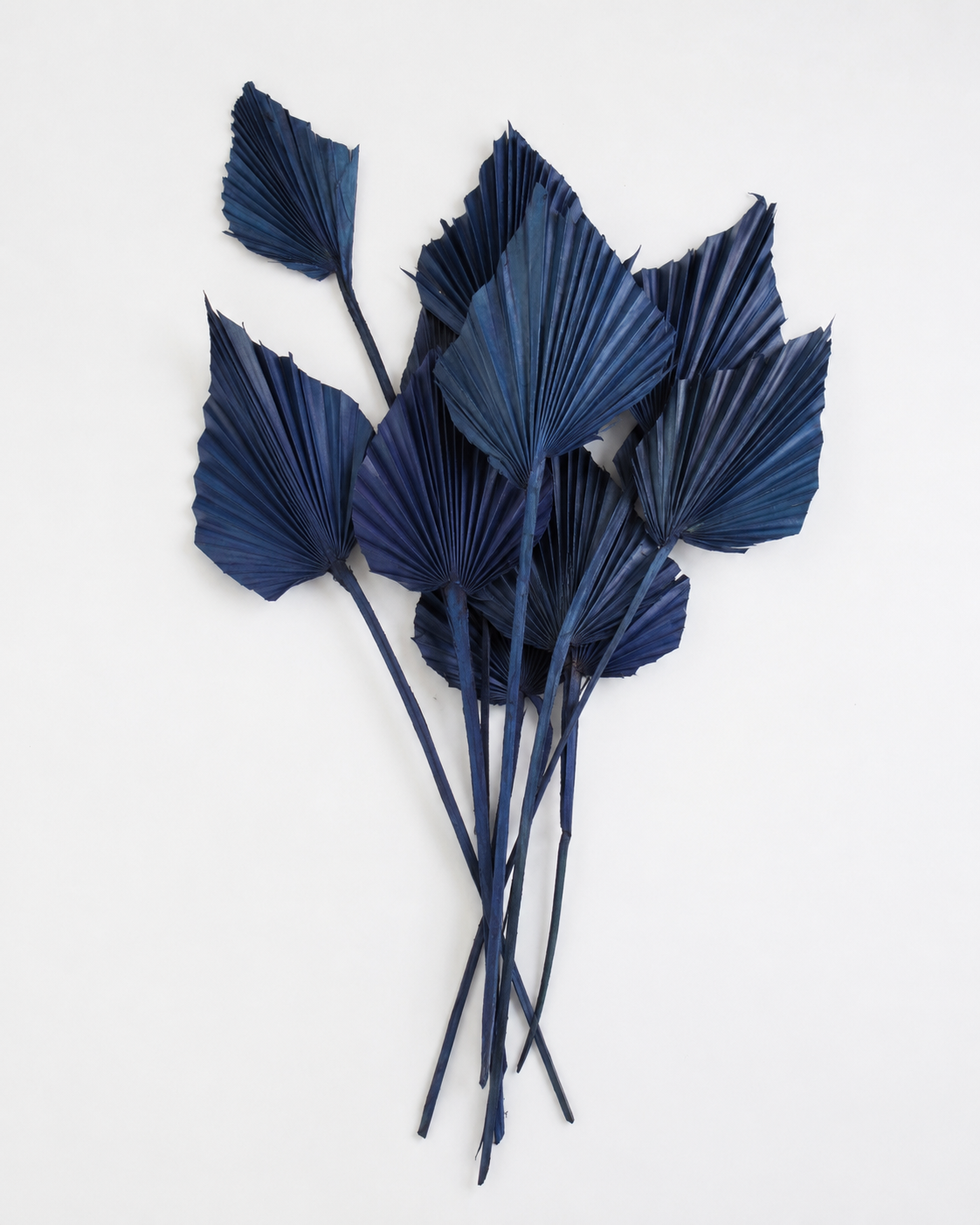 Dried Palm spear  Night blue