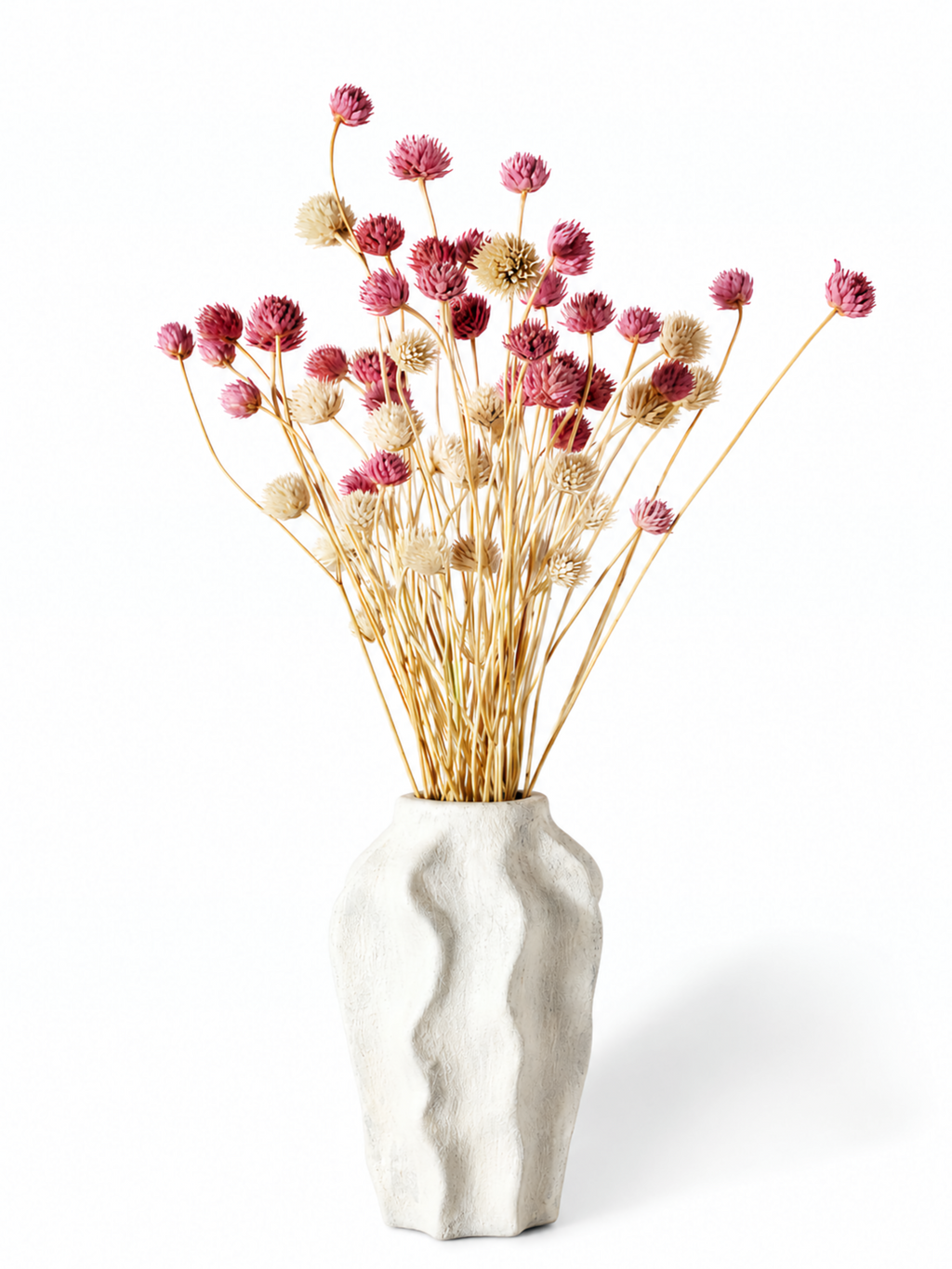 Pink Cephalaria Stems