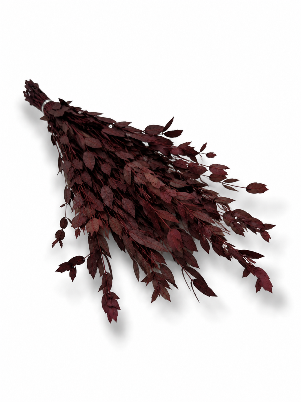 Burgundy Preserved Eucalyptus Bundle