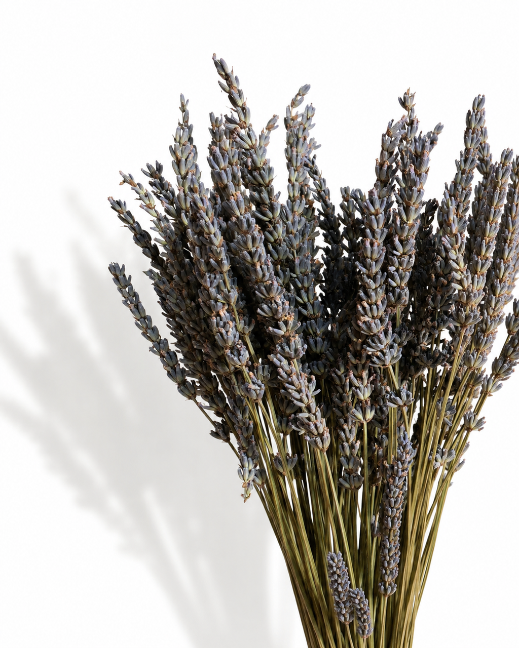 Dried Lavender Bouquet