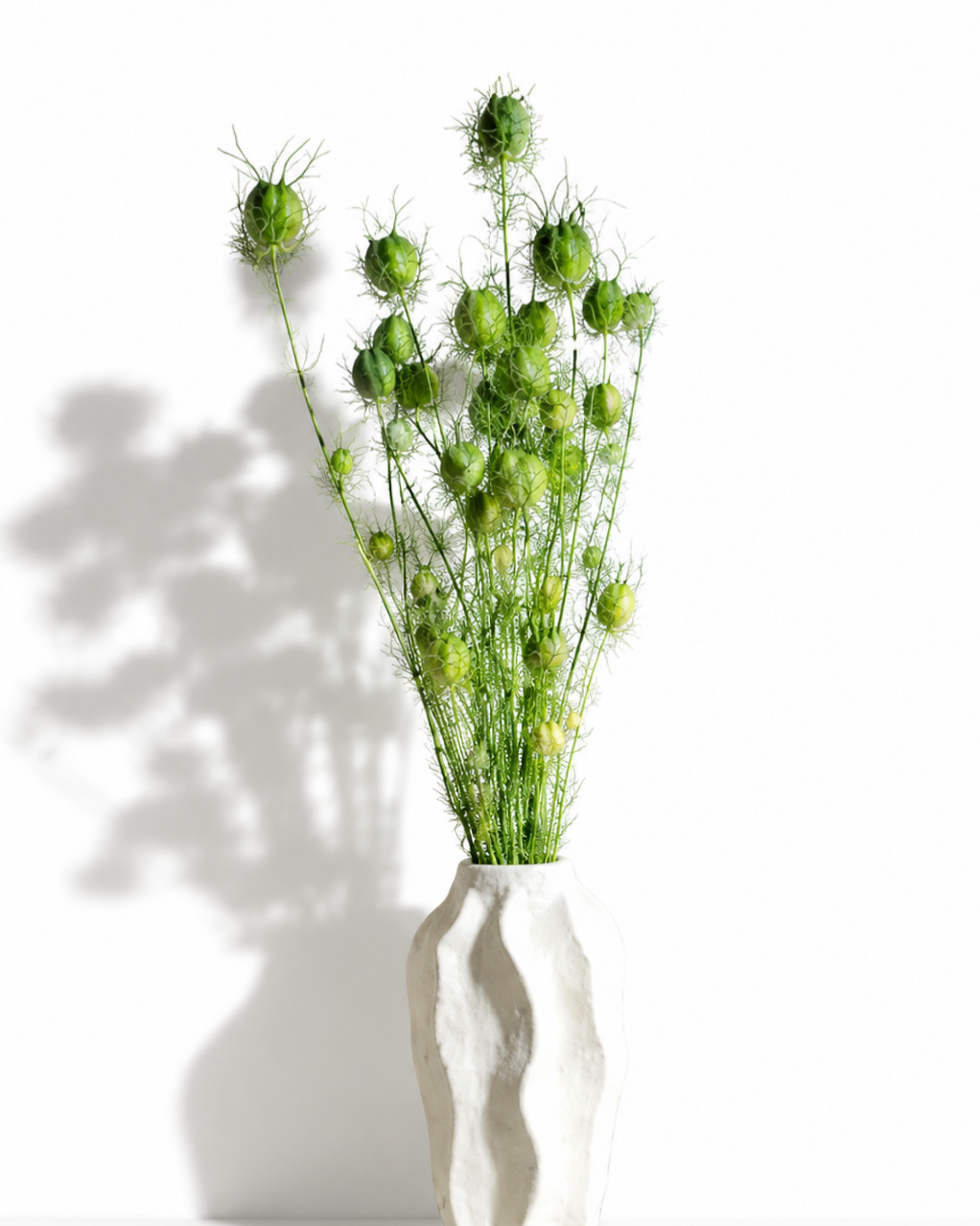 Bright Green Nigella Pods