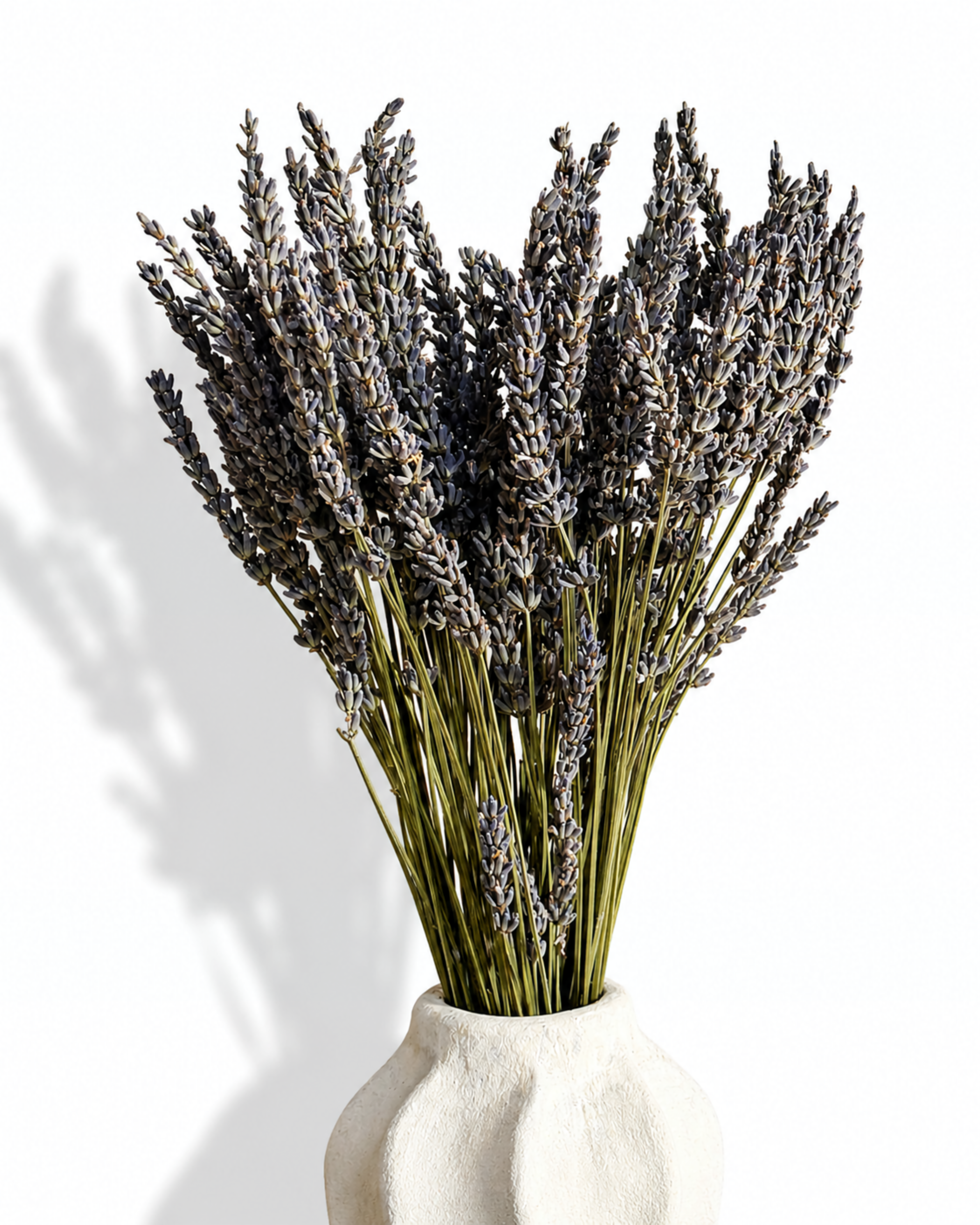 Close-up shot of the top bouquet of dried purple lavender stems placed in a ceramic vase.
