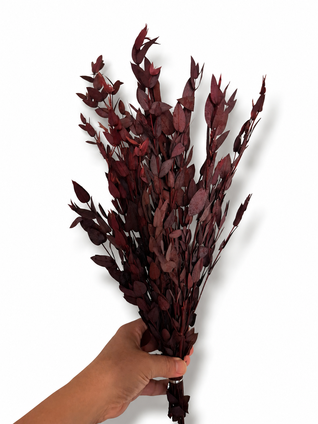 Burgundy Preserved Eucalyptus Bundle