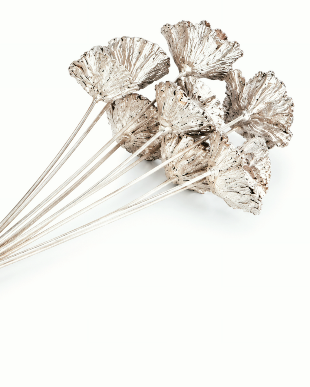 Warm Gold Dried Lotus Pods on Stems - Natural Pithaya Christmas Picks Bunch of 5 Stems