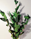 Preserved Green Foliage Branches