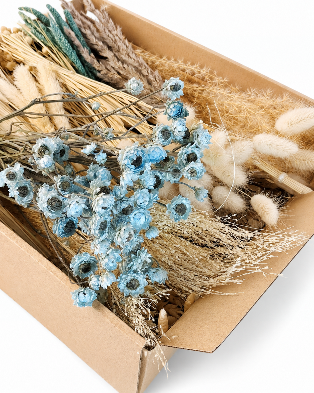 Beige & Blue Dried Flower Box for Crafts