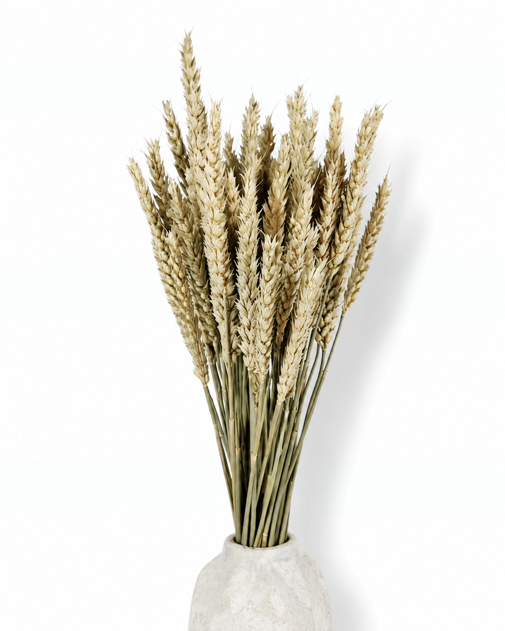 Natural Wheat Bundle