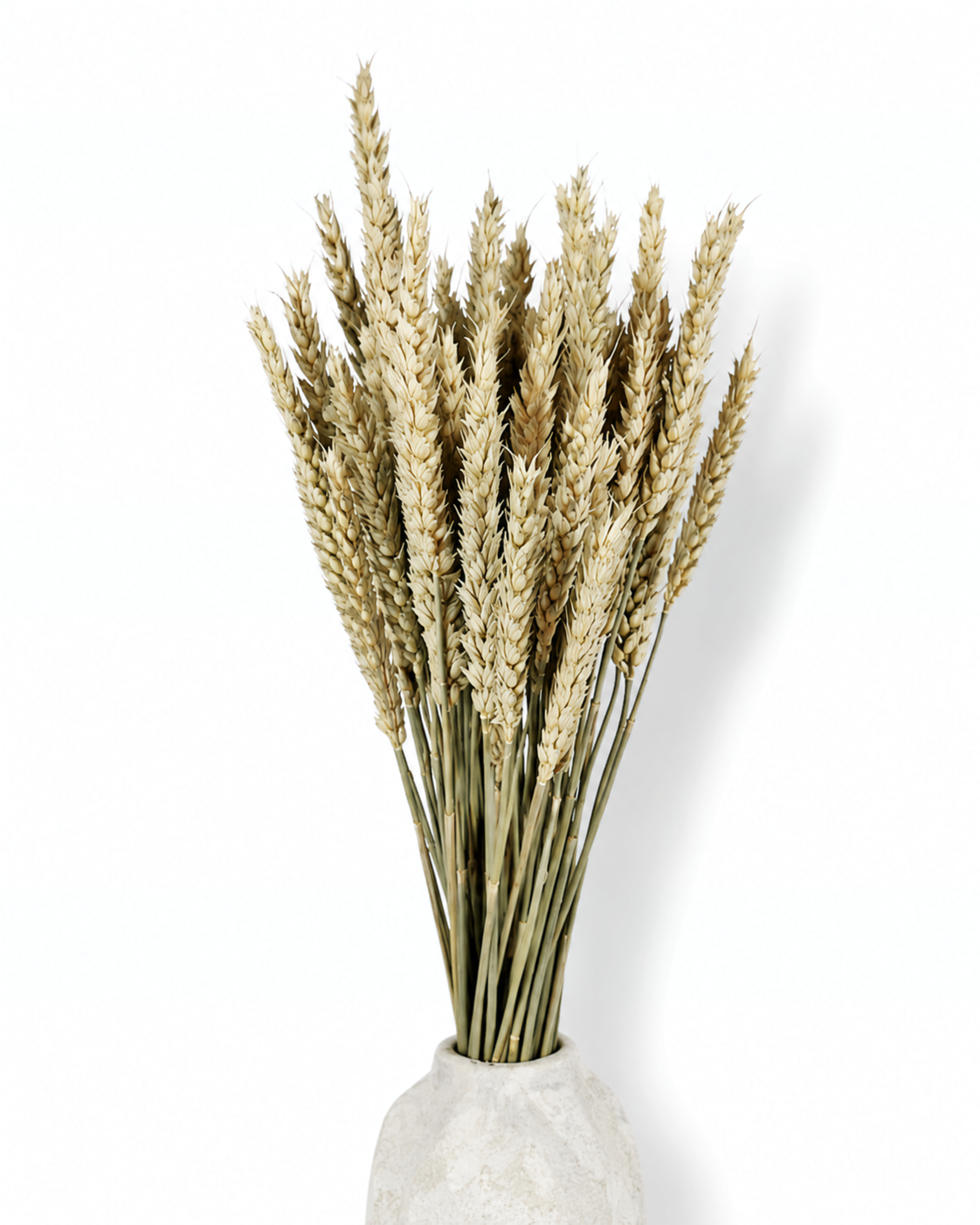 Natural Wheat Bundle