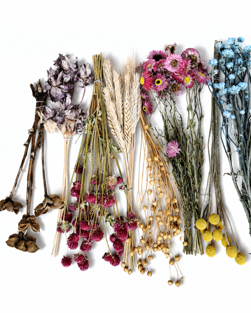 Pastel Dried Flower Box for Crafts