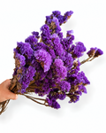 A close-up view of a hand holding a rich, full bunch of premium naturally dried Deep Purple Statice stems.
