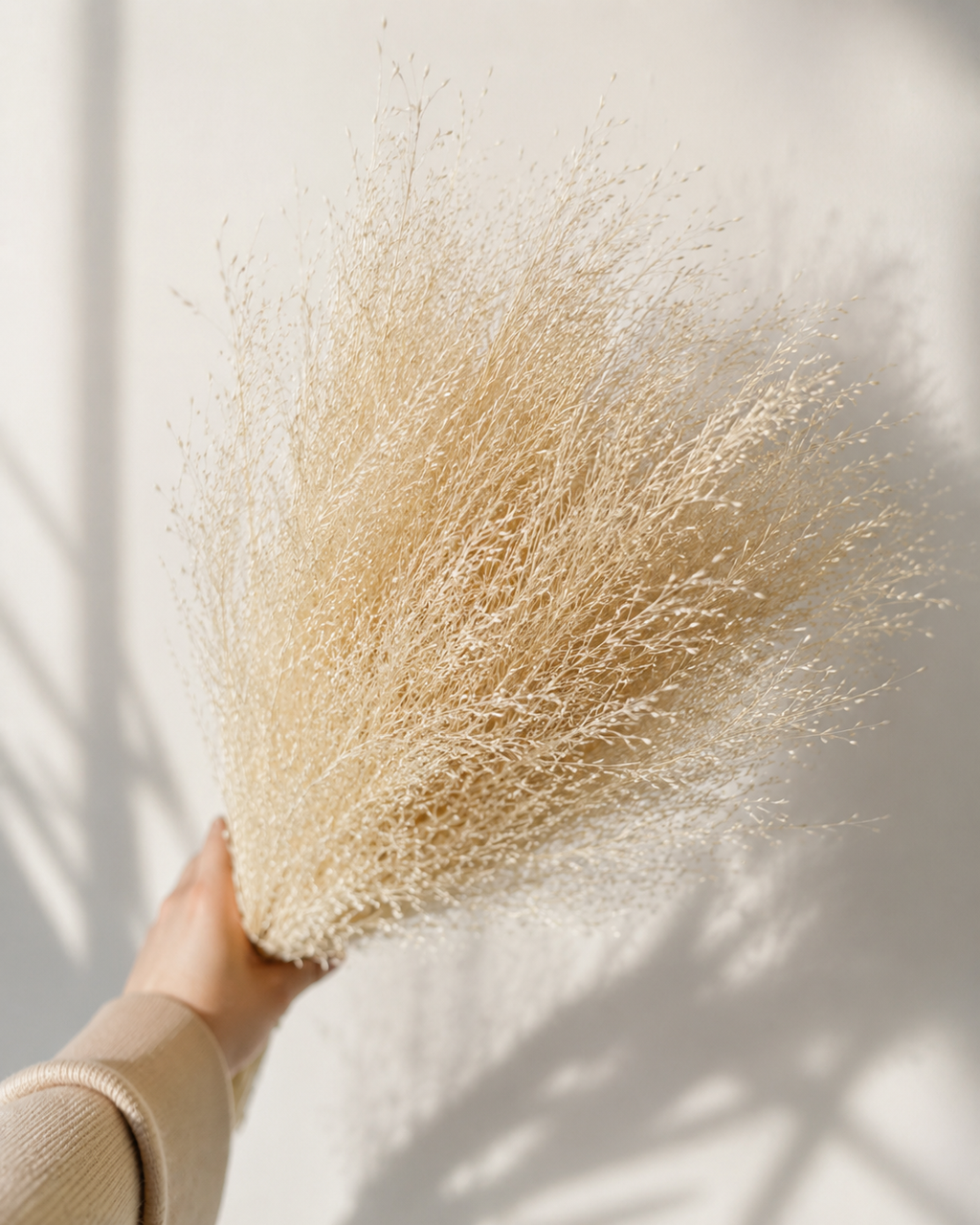 Tall Rice Grass Bundle