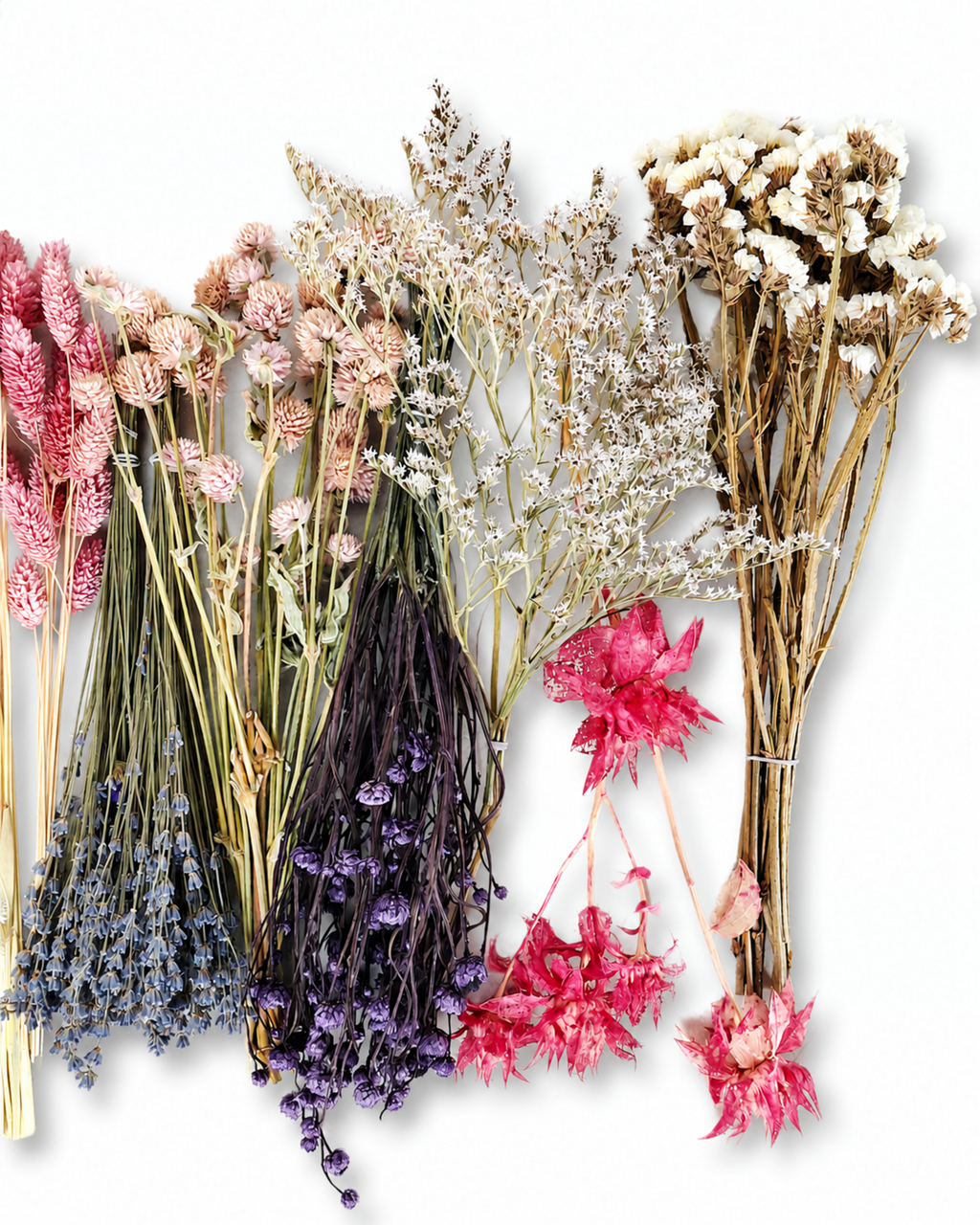 Pastel Dried Flower Box for Crafts