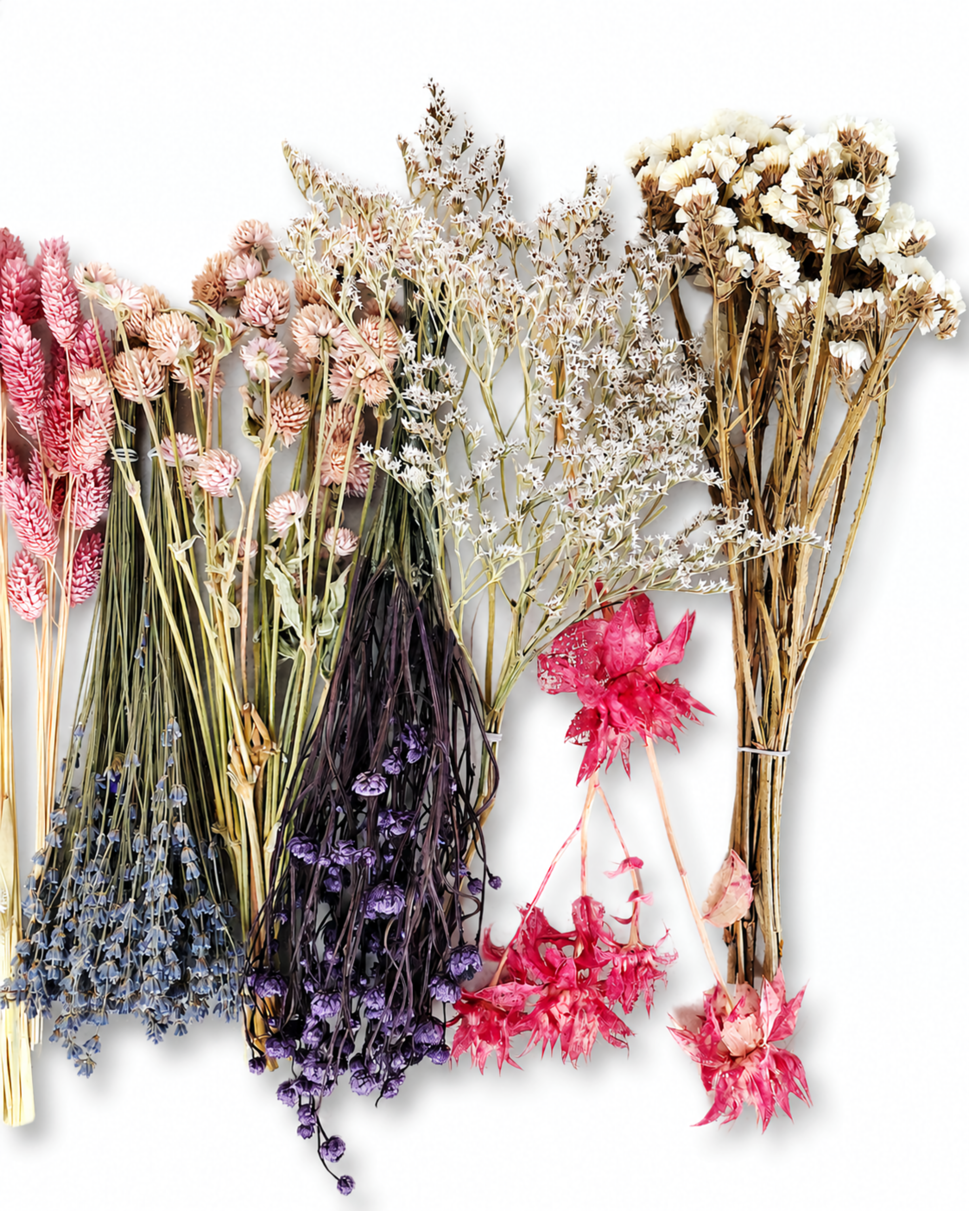 Pastel Dried Flower Box for Crafts