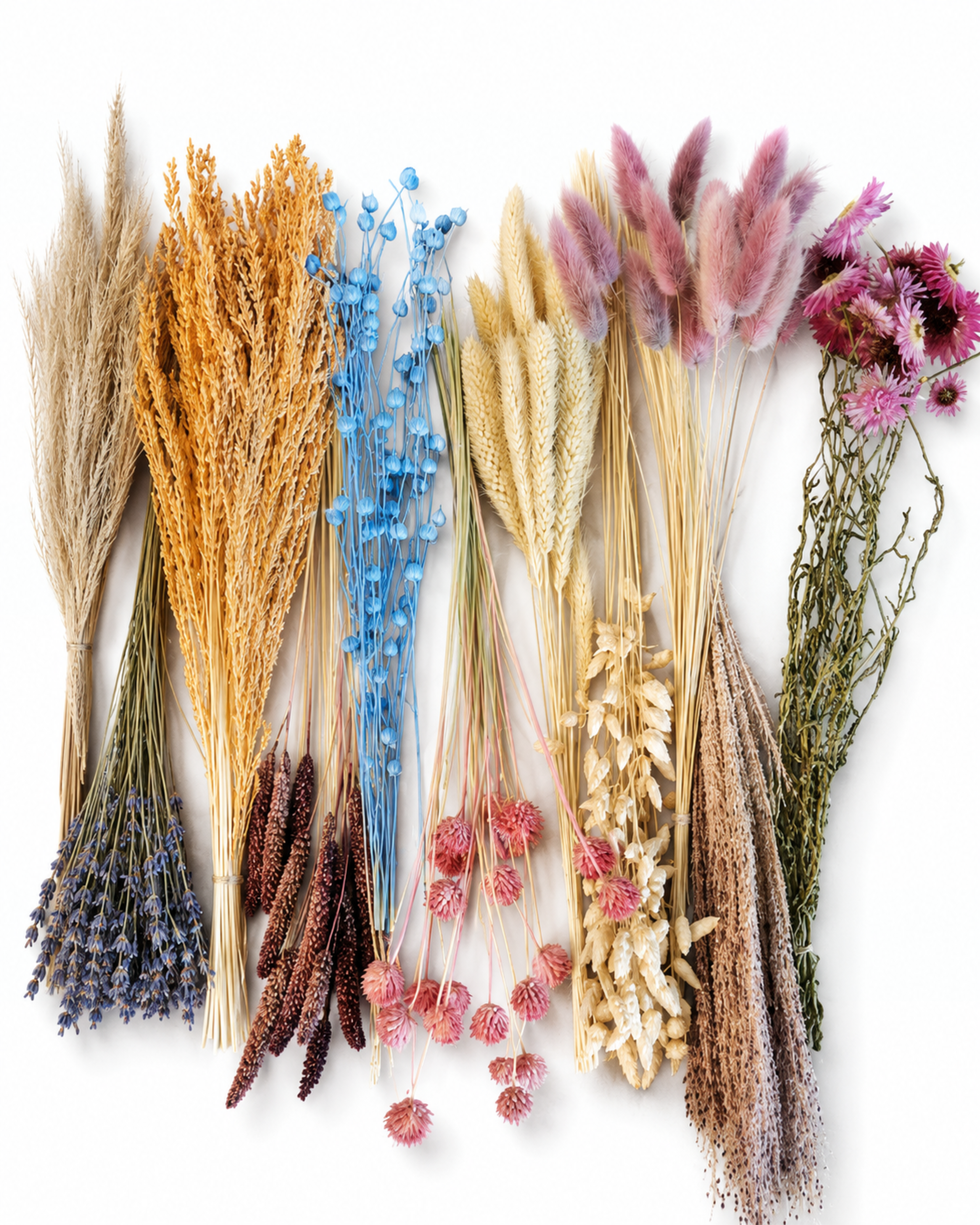 Rainbow Dried Flower Box