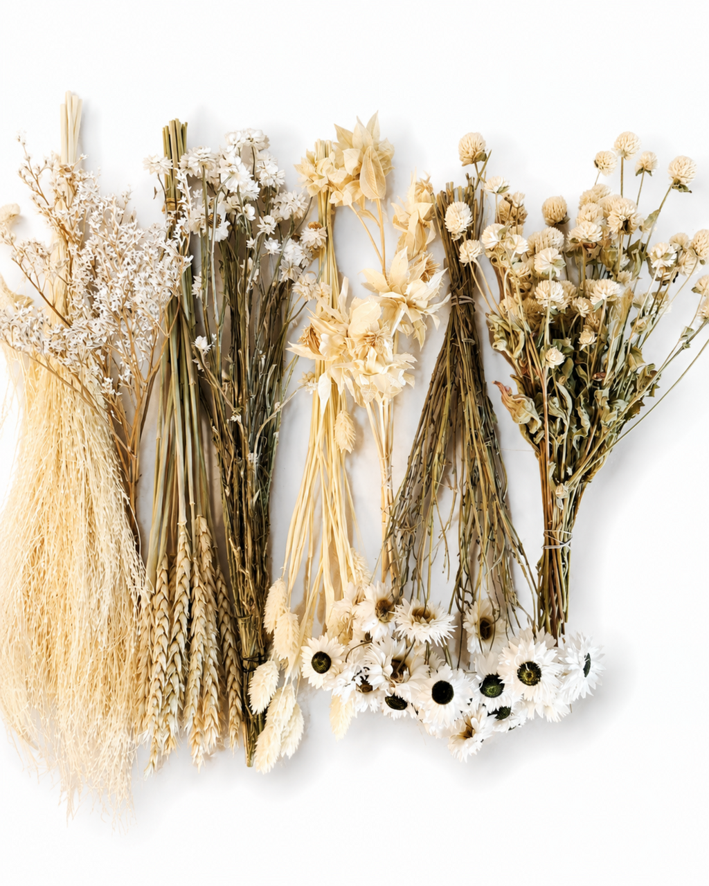 Natural Dried Flower Box for Crafts