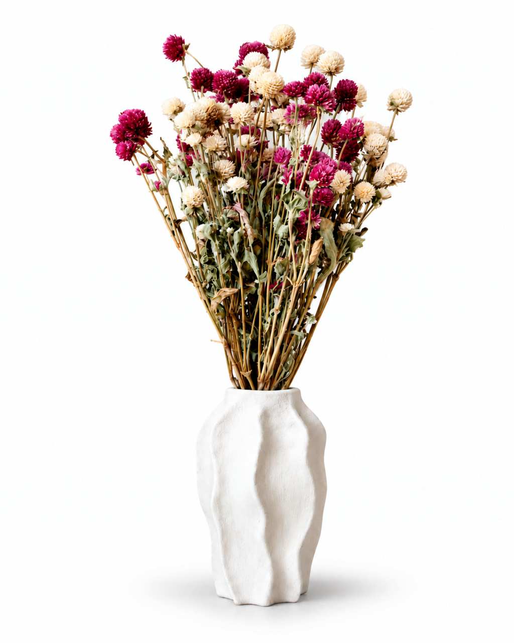 Arrangement of vibrant magenta and ivory dried Gomphrena stems in a textured white ceramic vase.
