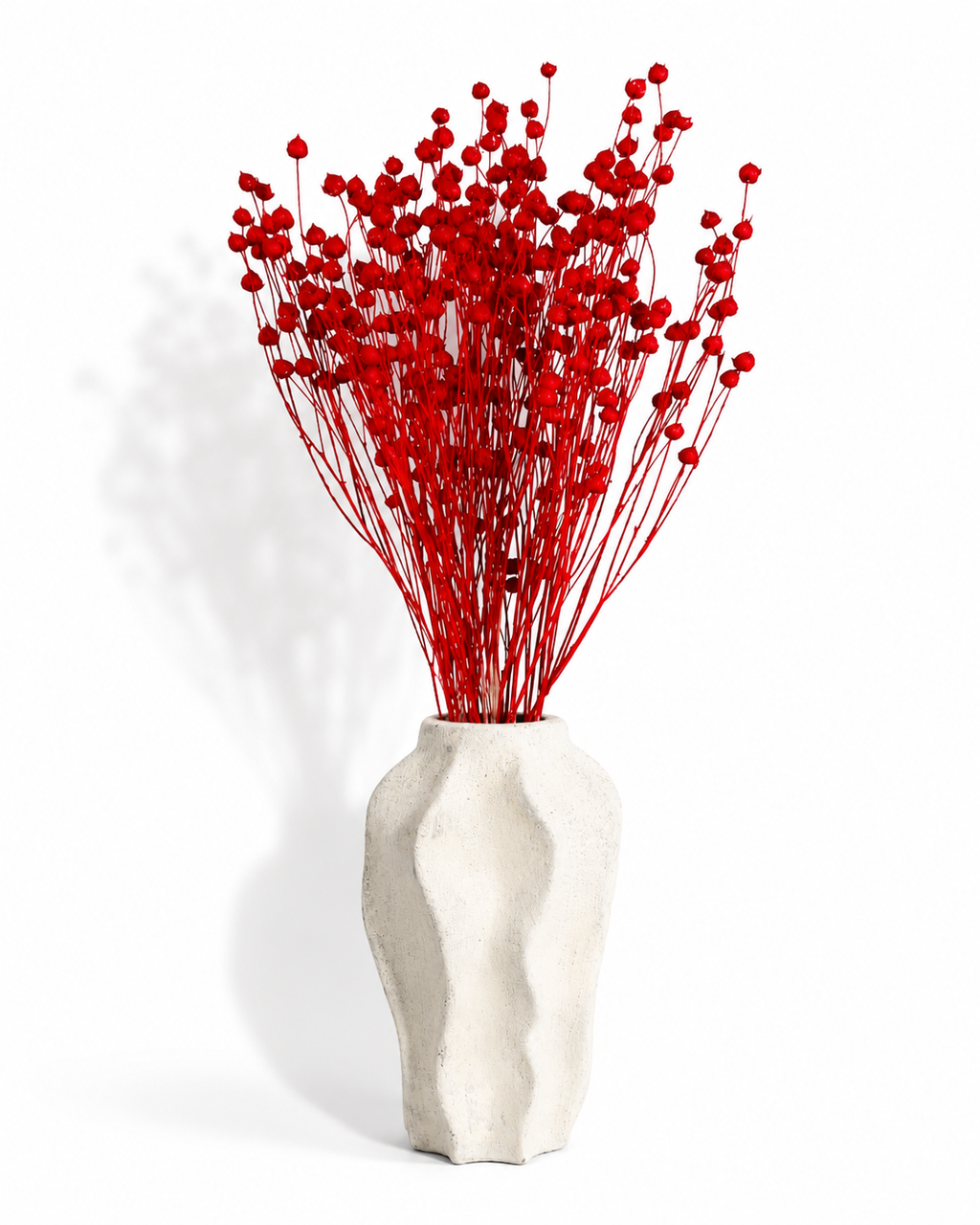Bright Red Dried Flax Stems