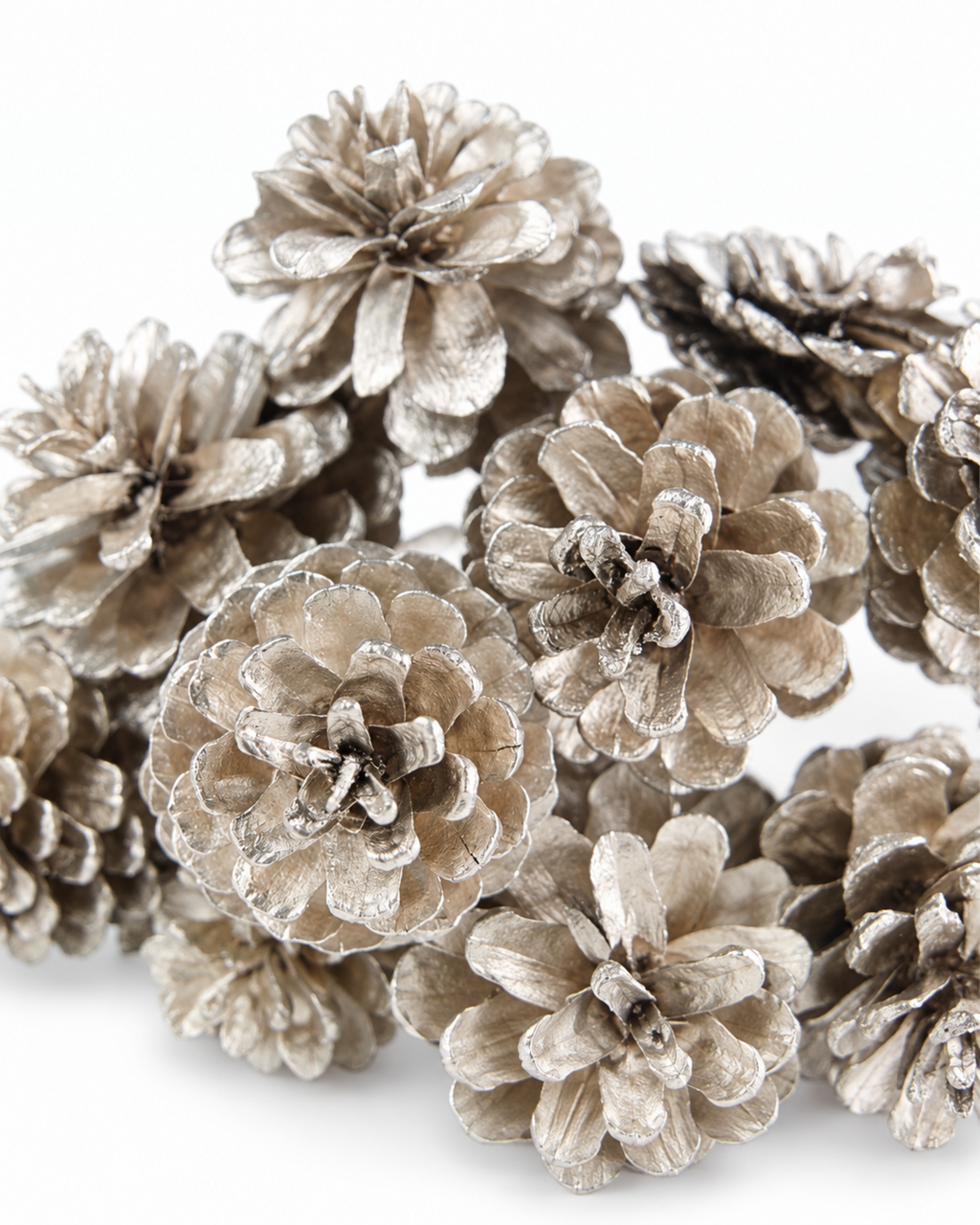 Close-up view of natural pine cones with elegant champagne gold metallic texture.
