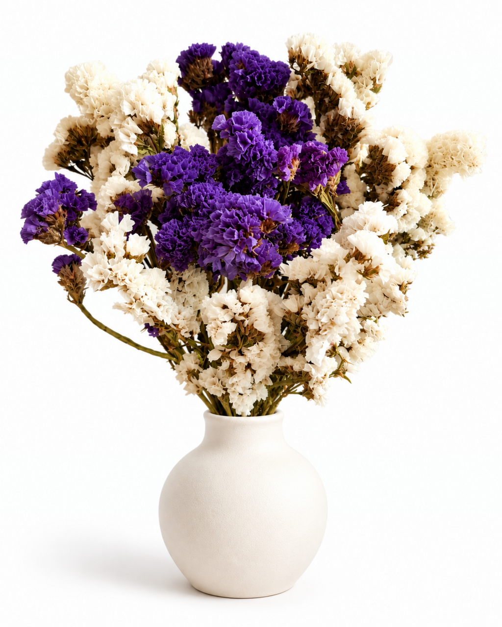 Purple and White Statice