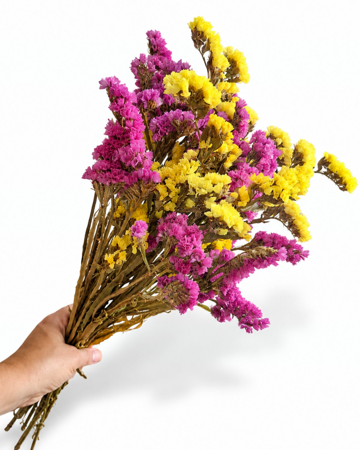 Side view of a 100-gram dried Limonium Statice bouquet with colorful papery blooms.
