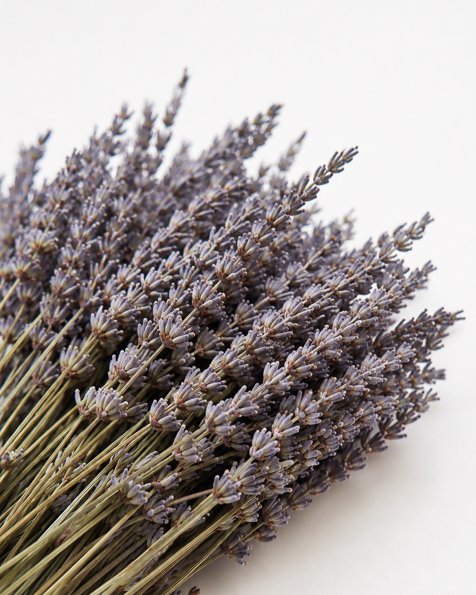 Natural Dried Lavender