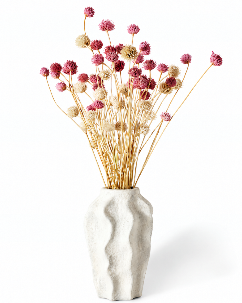 Romantic dried Cephalaria bouquet in soft pink tones styled in a white vase for modern interior home decor.
