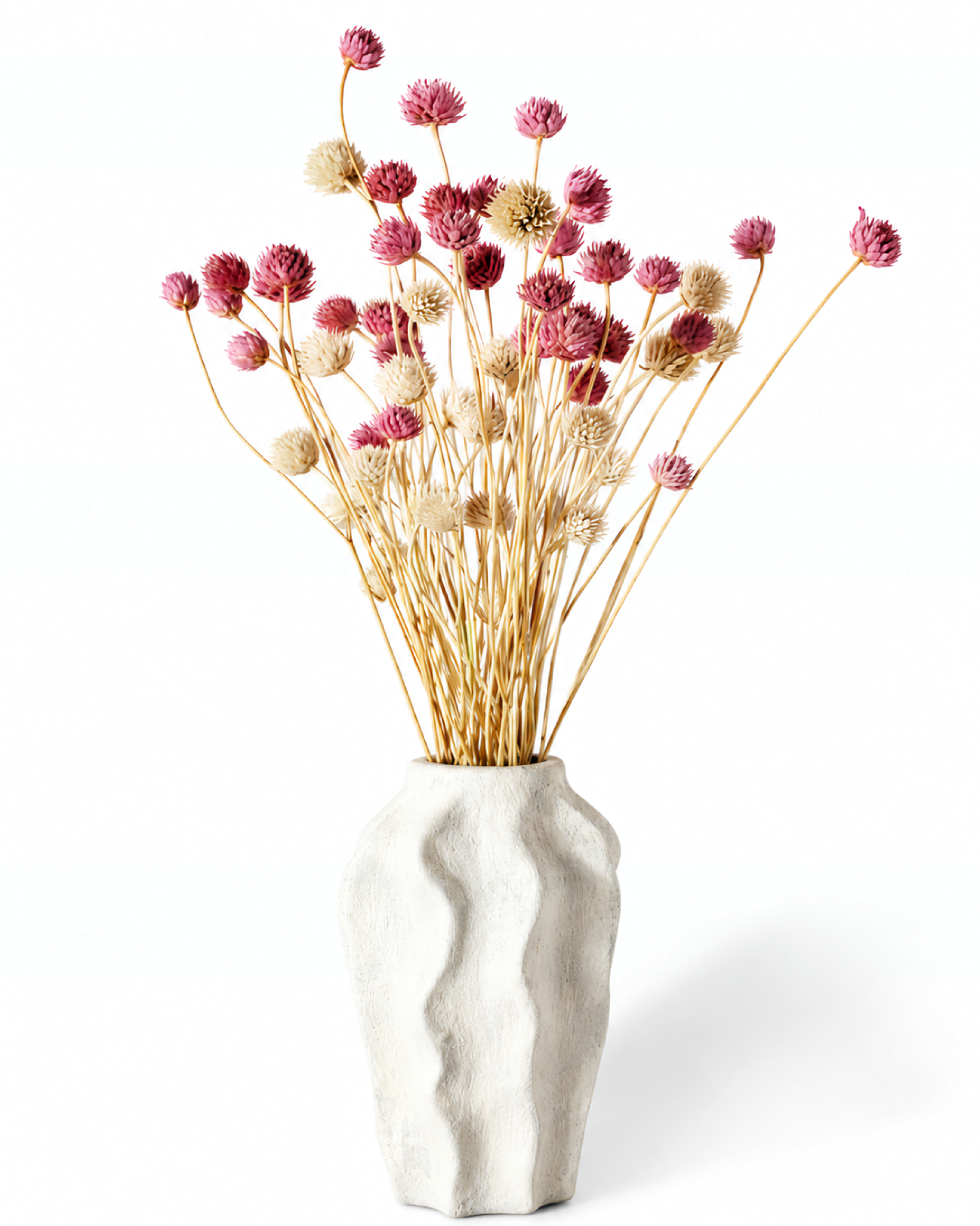 Romantic dried Cephalaria bouquet in soft pink tones styled in a white vase for modern interior home decor.
