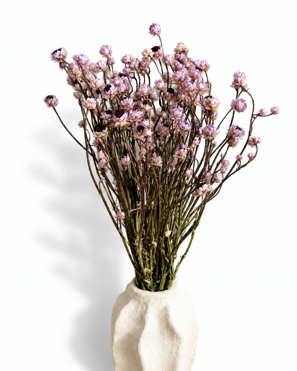 Stabilized Lavender Ammobium Bouquet 45-50cm - Dried Lilac Flowers