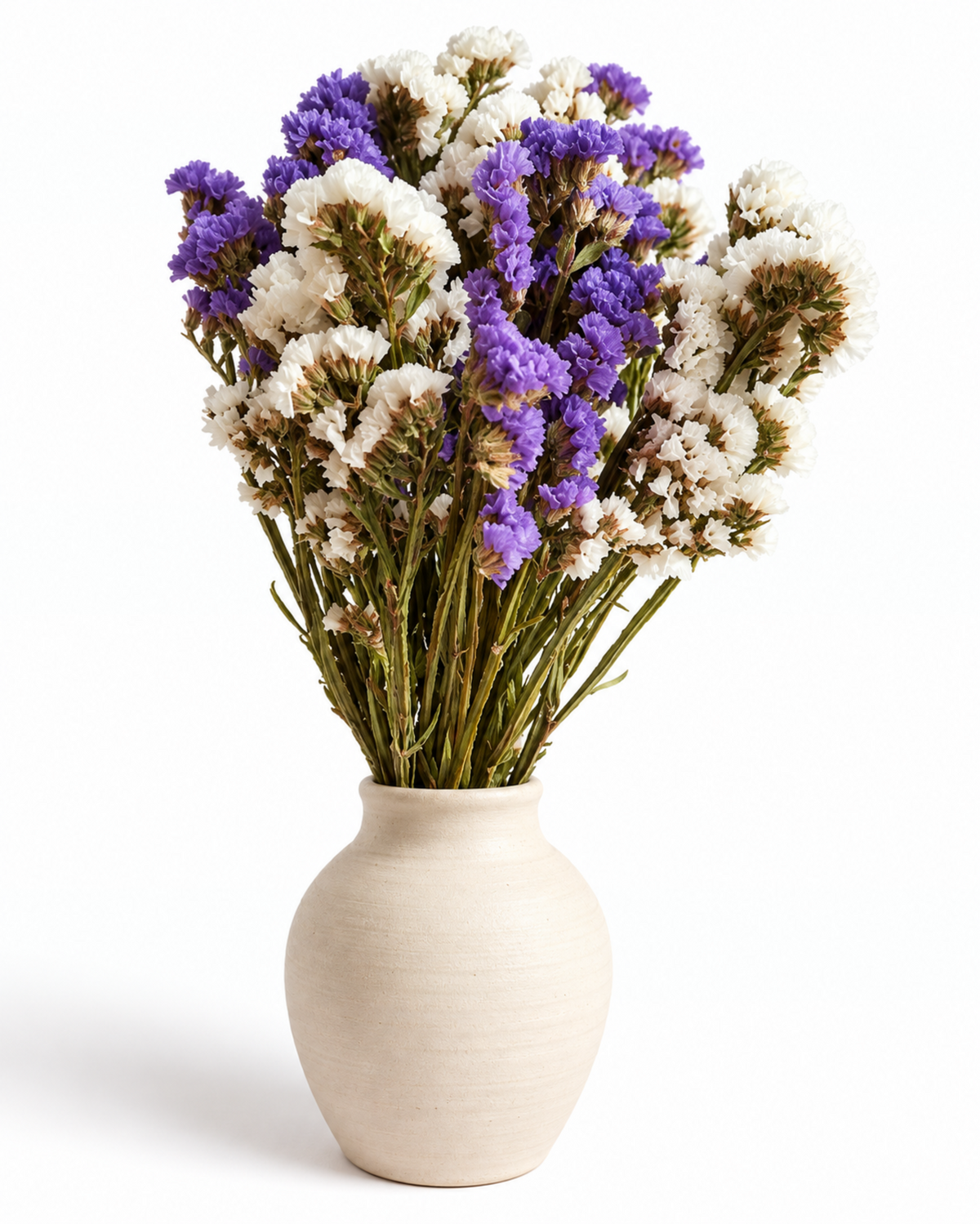 Hastes de Limonium Roxo e Branco