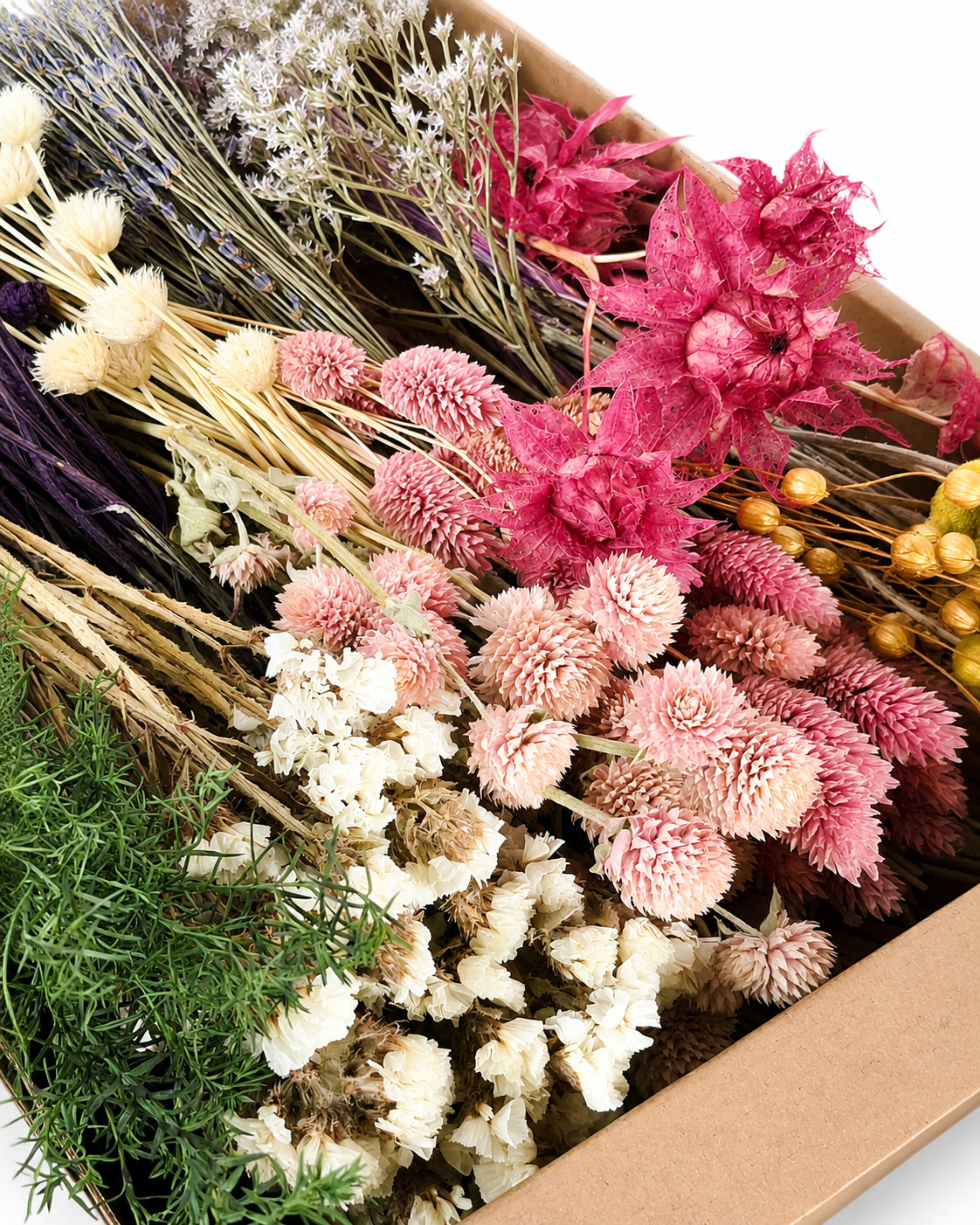 Pastel Dried Flower Box for Crafts