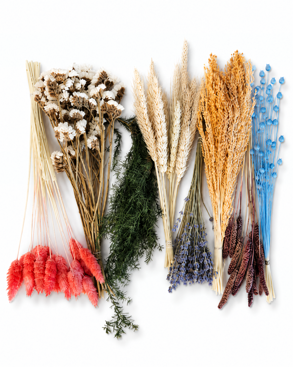 Rainbow Dried Flower Box