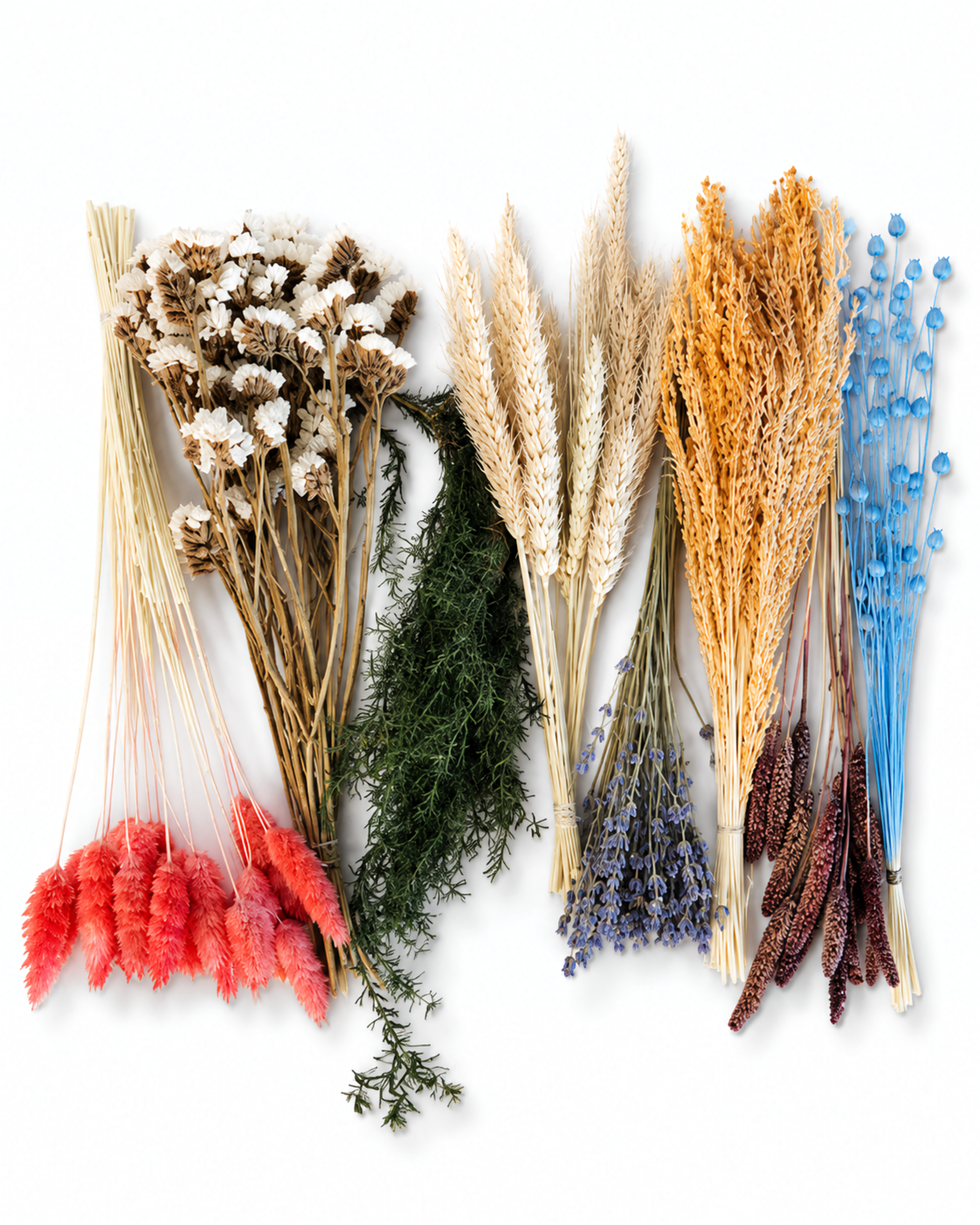 Rainbow Dried Flower Box