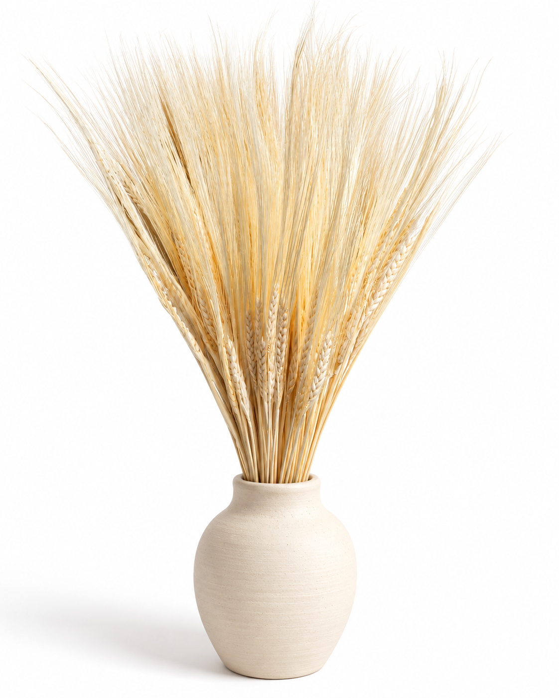 Hastes de Cevada Branqueada Creme Seca 25 Hastes - Trigo Natural 50-55cm