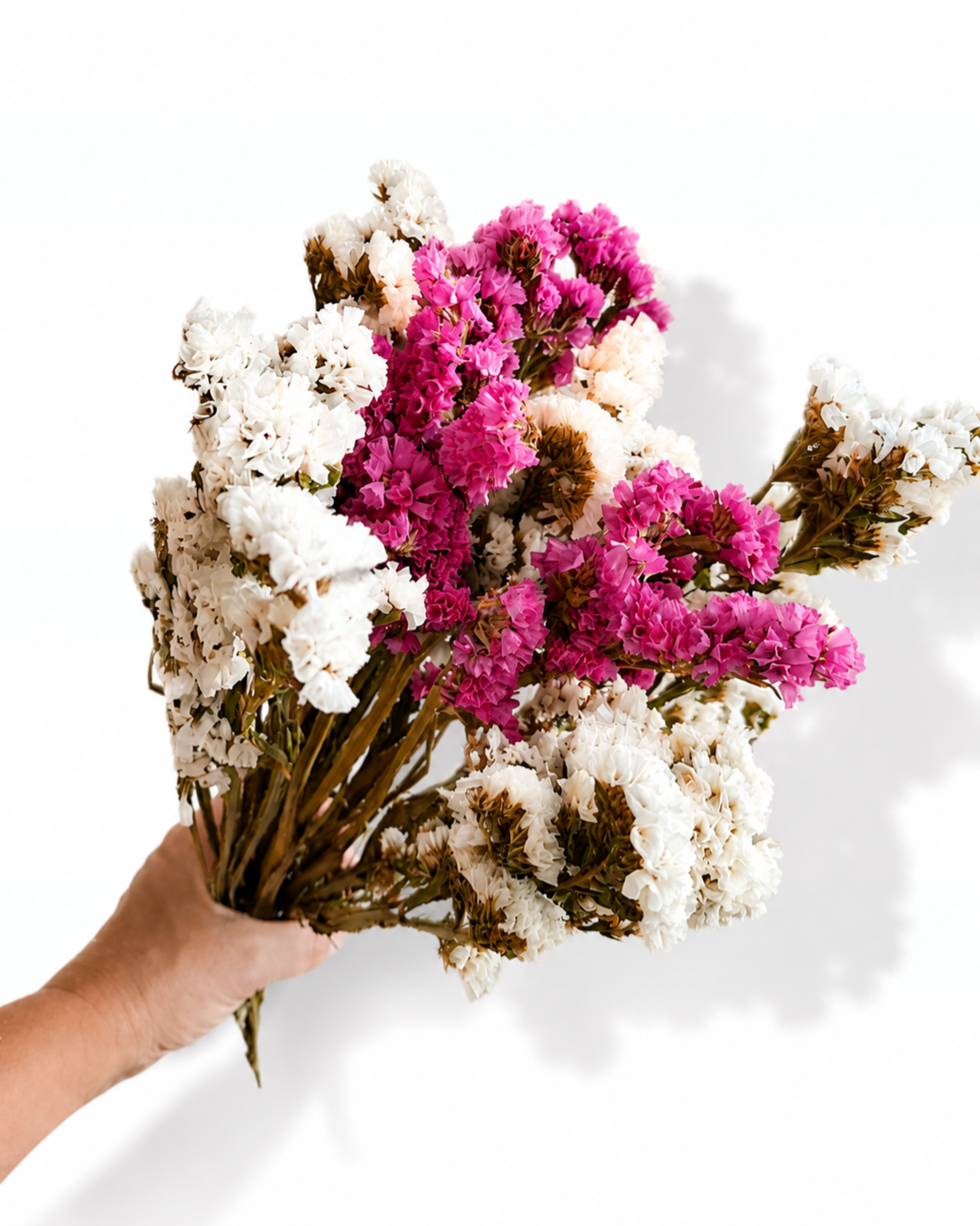Hand holding a 100g bunch of vibrant magenta pink and white dried Statice stems against a clean white background.
