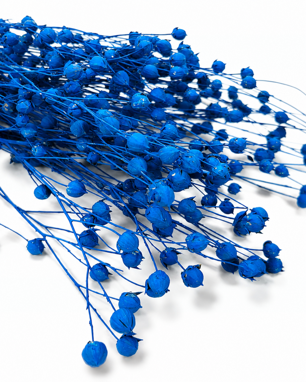 Electric Blue Flax Stems