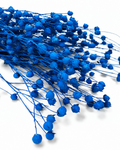 Electric Blue Flax Stems
