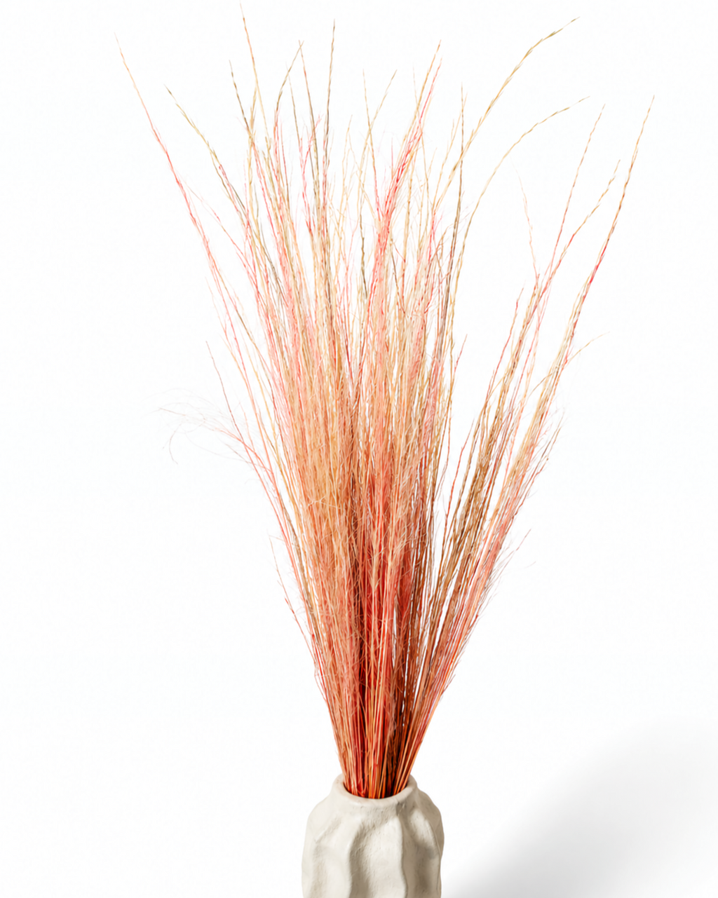 Peach Coral Pony Grass
