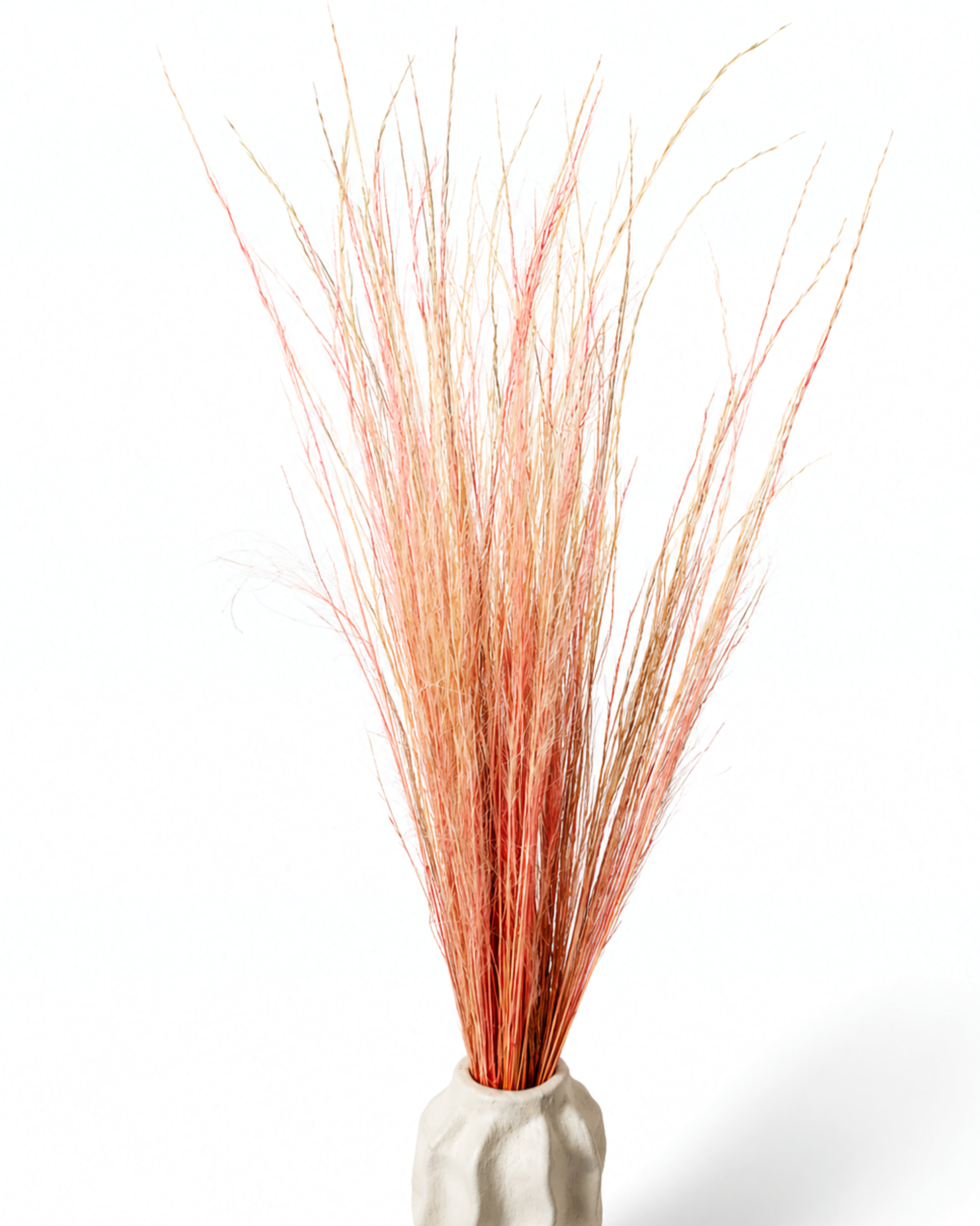 Peach Coral Pony Grass