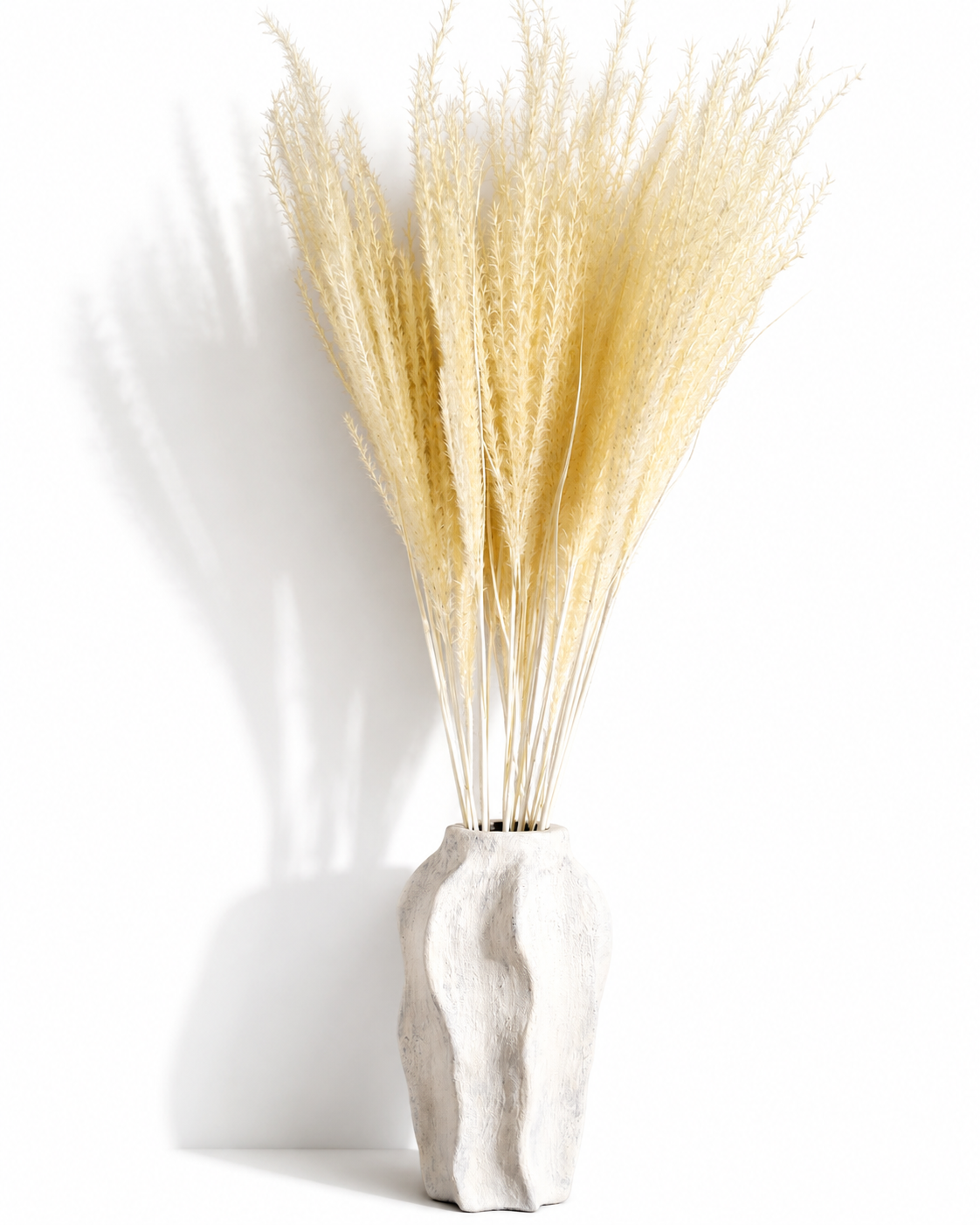 Bundle of fluffy dried warm cream Miscanthus grass stems styled in a tall white ceramic vase.
