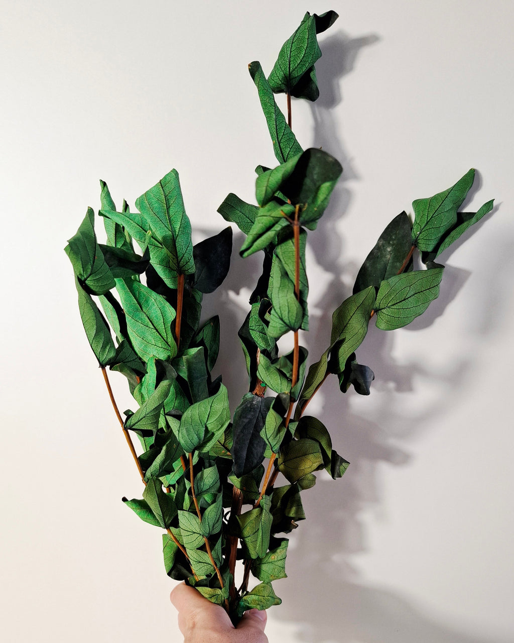 Preserved Green Foliage Branches