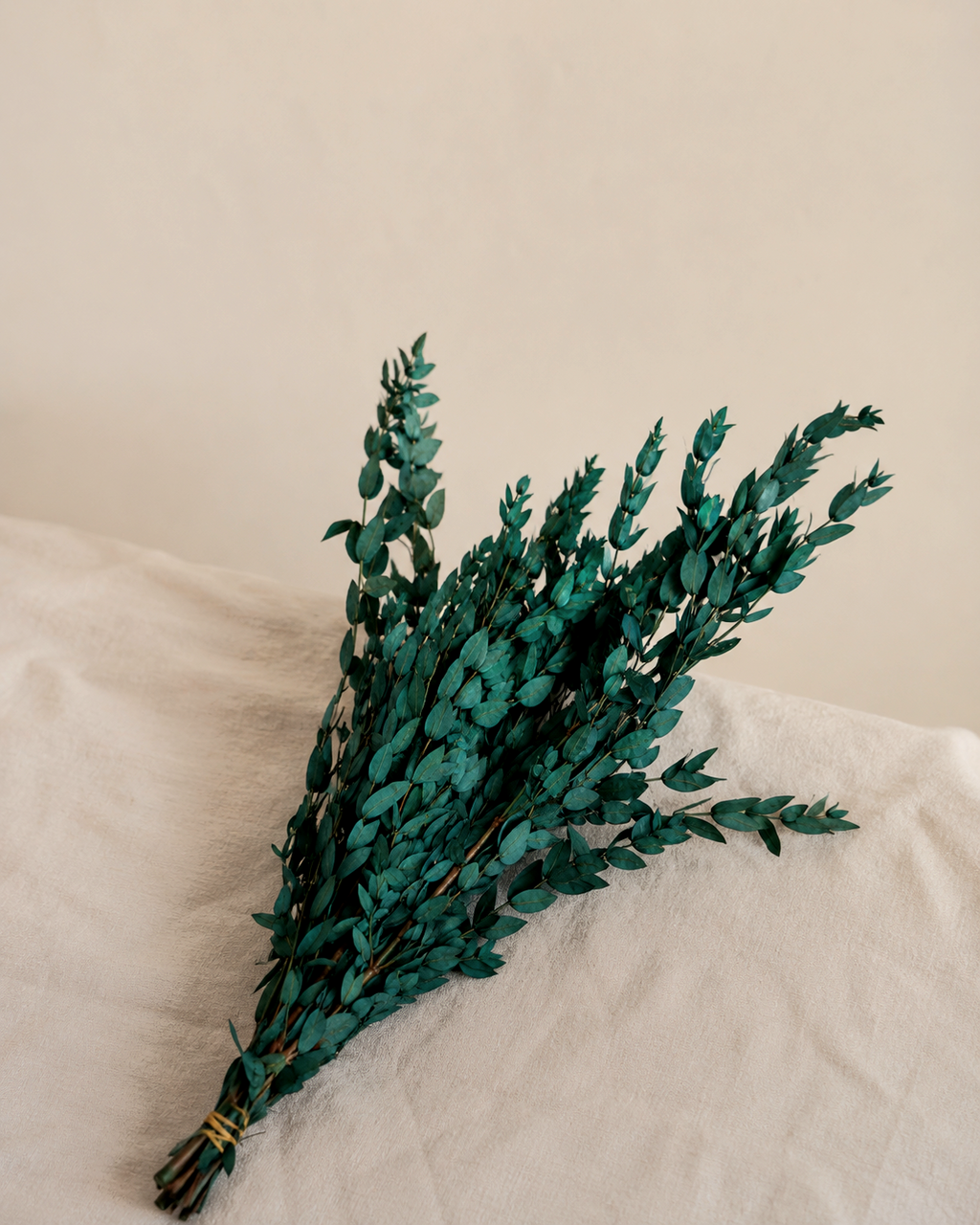 Preserved Greenery Bundle