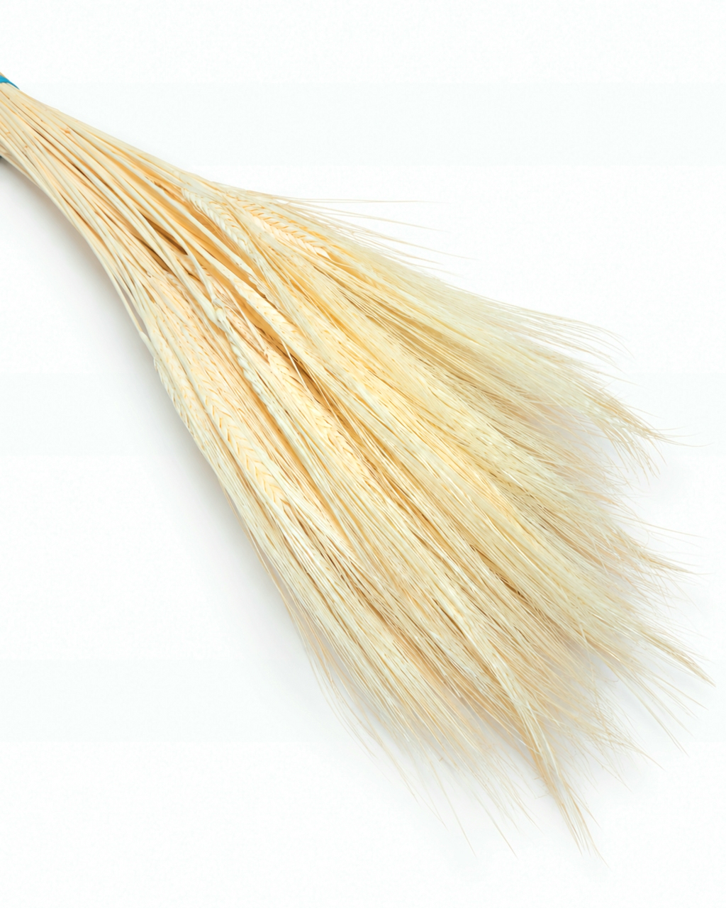 Dried Cream Bleached Barley Stems 25 Stems - Natural Wheat 50-55cm